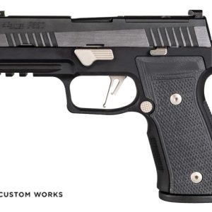 Buy P320 AXG Equinox